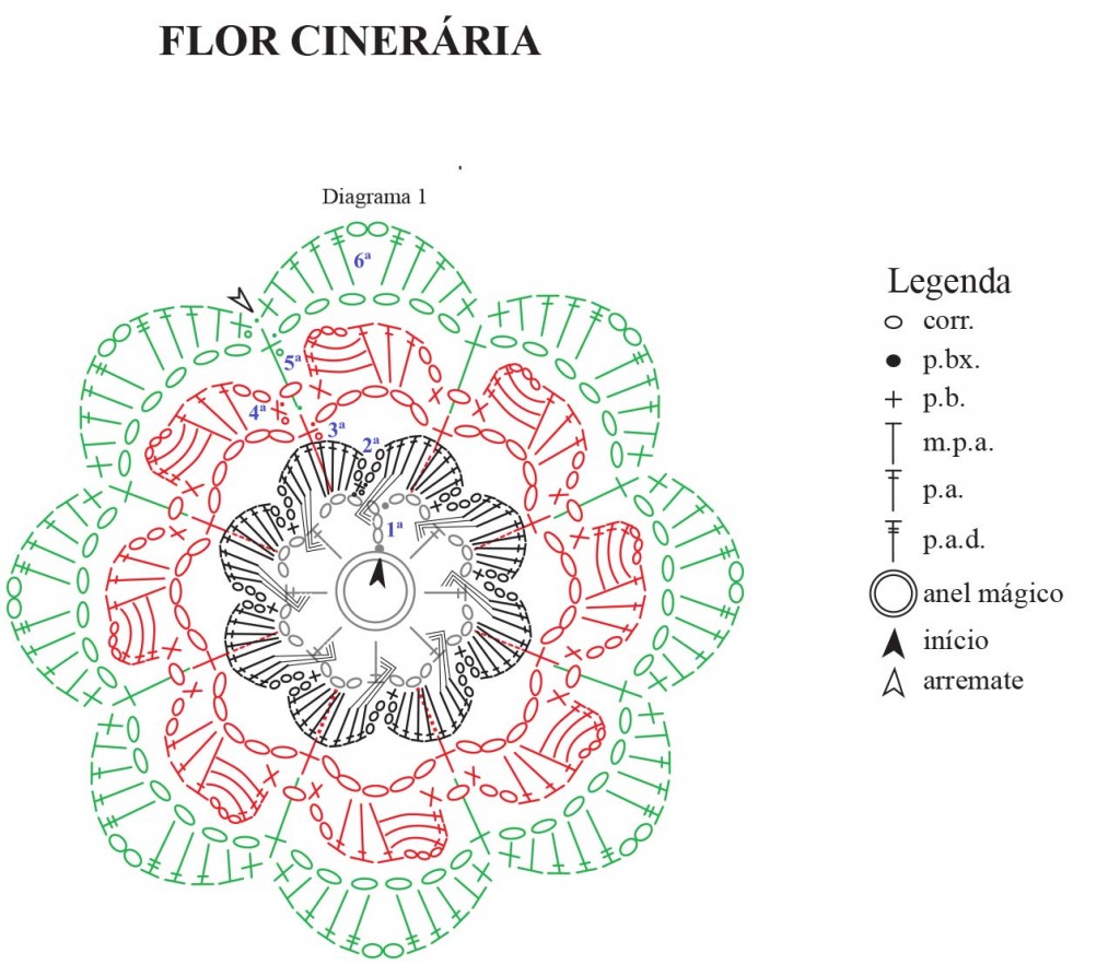flor-cineraria-3