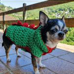 Capinha Pet Dino de crochê com Fio Vellut Amigurumi e Baska Pingouin cachorro chihuahua corpo inteiro