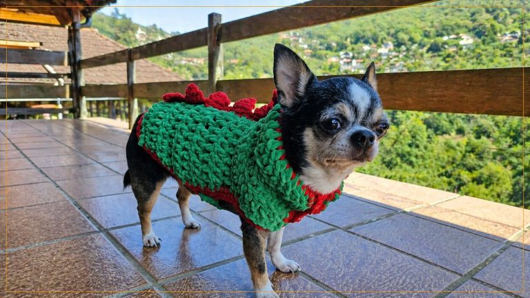 Capinha Dino para Pet com Vellut Amigurumi – Seu Cão vai Arrasar