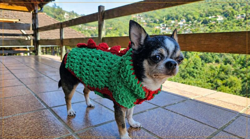 Capinha Pet Dino de crochê com Fio Vellut Amigurumi e Baska Pingouin cachorro chihuahua corpo inteiro