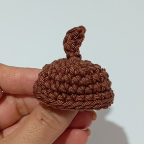 30 castanha caule e primeira parte