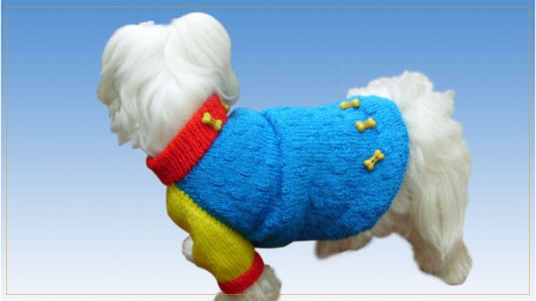Roupinha de Tricô para Cachorro com Fio Cisne Super Bebê – Receita