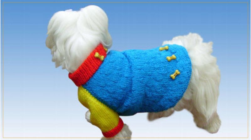 Roupinha de Tricô para Cachorro em Cisne Super Bebê nas cores azul turquesa, amarelo e vermelho