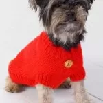 Suéter para Cachorro – Fio Cisne Elegance