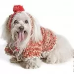 Bolerinho e Touca para Cachorro – Fio Farfalla Estampado