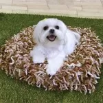 Receita Cama para Pet Quadrada – Fio Cisne Shok