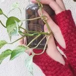 Receita Luva de Crochê no Tear de Prego com Fio Sedificada