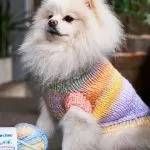 Receita Roupa para Cachorro de Tricô com Fio Cisne Happiness