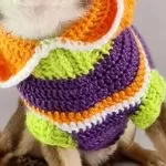 Receita Roupa de Crochê para Pet com Fio Pingorumi