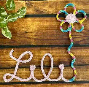 Aprenda a fazer nome e flor em tricotin