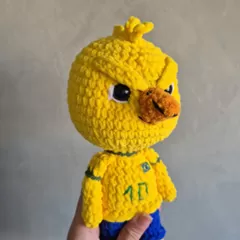Posição do bico e das sobrancelhas do Canarinho Pistola