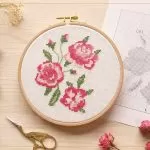 discovery-trio-de-roses-dmc