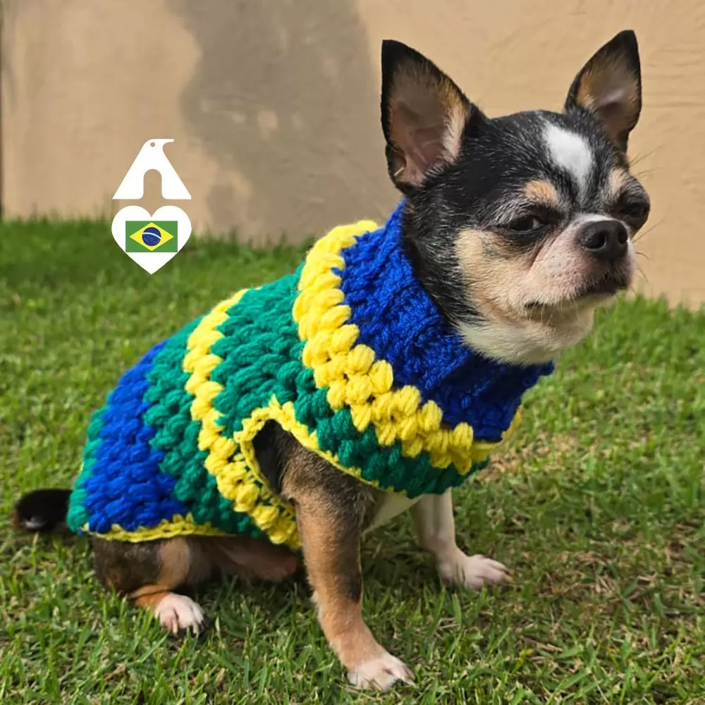 Roupinha Pet Copa de Crochê em verde, amarelo e azul — chihuahua vestindo a peça